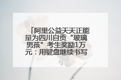 阿里公益天天正能量为四川自贡“玻璃男孩”考生奖励1万元：用键盘继续书写不设限的人生